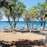 Go to the beach - Vatera