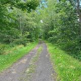 Catskill Scenic Trail
