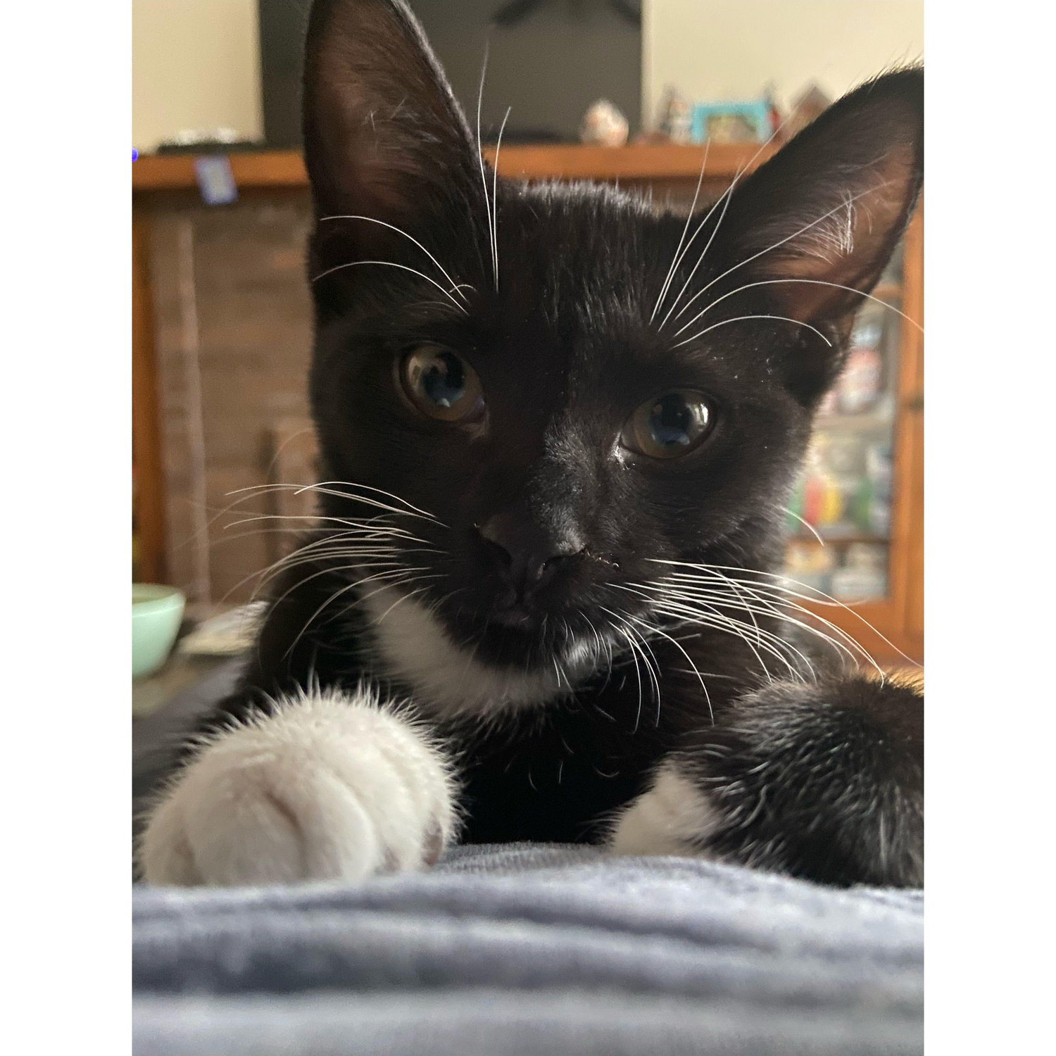 Wilma AKA Wilma Squeak