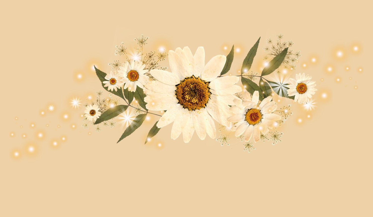 Footer image