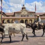 Stockyards Boulevard