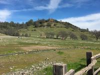 Upper Bidwell Park