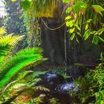 Amarillo Botanical Gardens