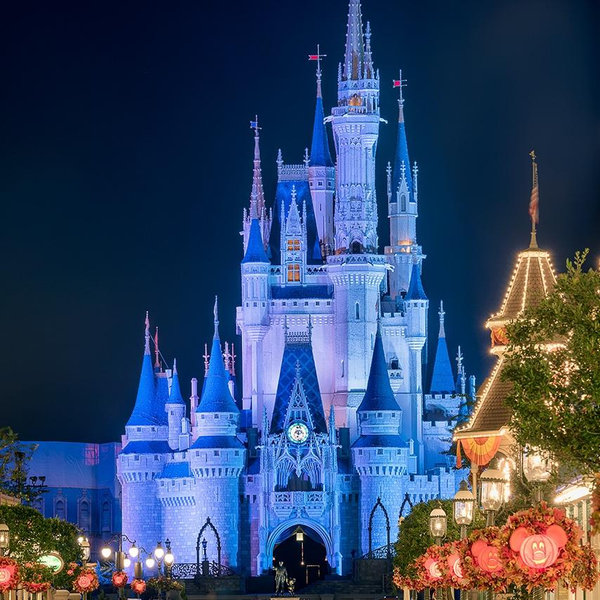 Disney world