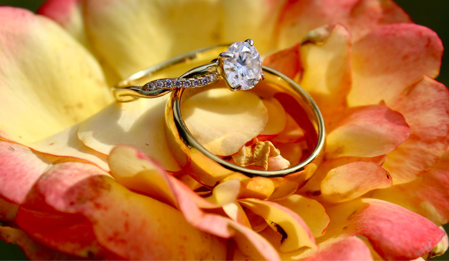 The Wedding Website of Taniesha Locke and Maurice Linton