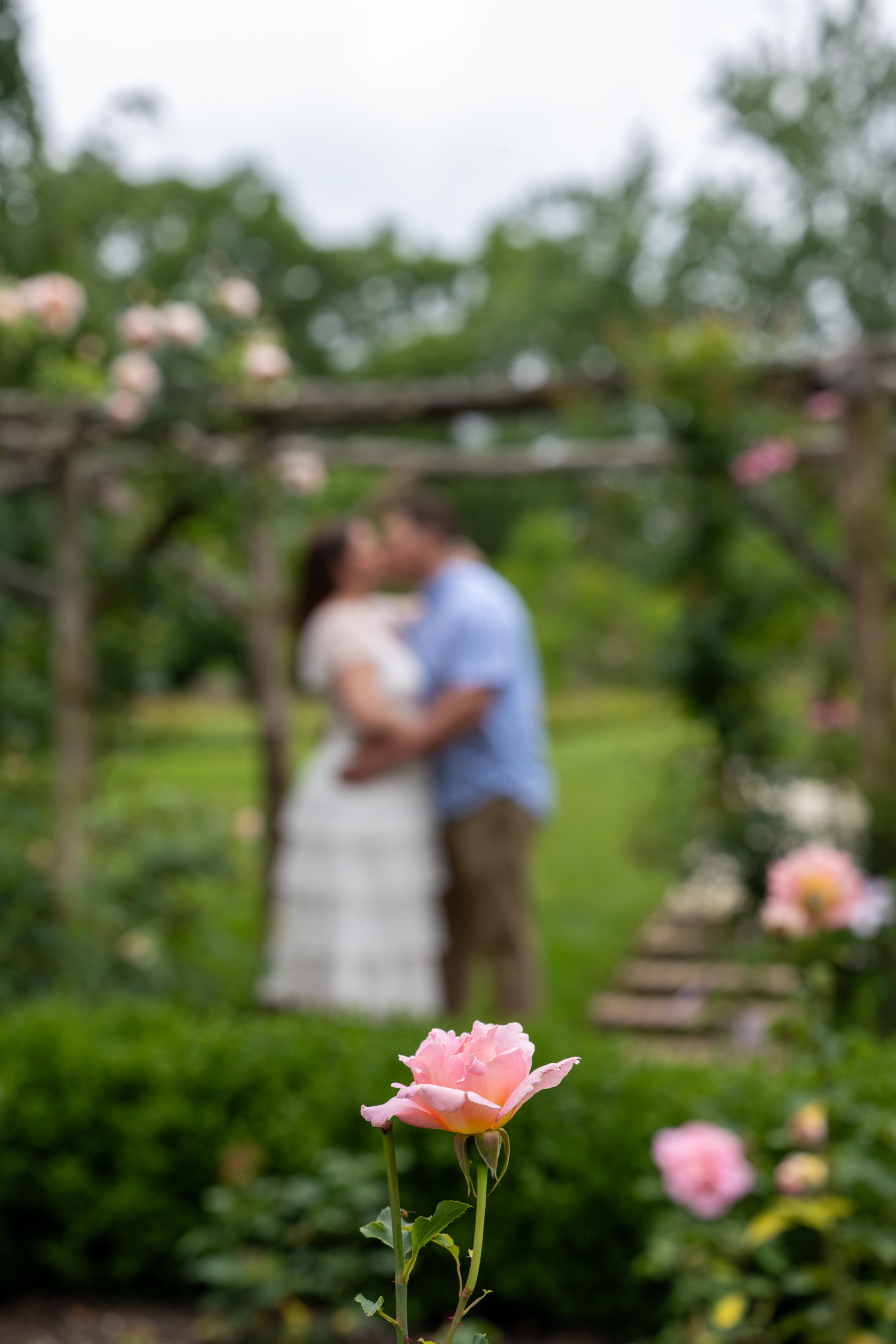 The Wedding Website of Elizabeth Sblendorio and Steven McKasty
