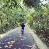 Explore Madison by E-Bike!