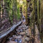 The Flume