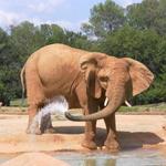 Caldwell Zoo