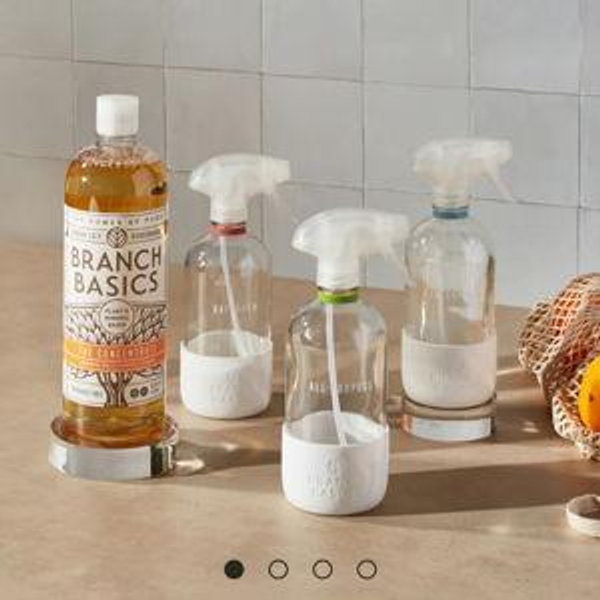 Cleaning Essentials Kit