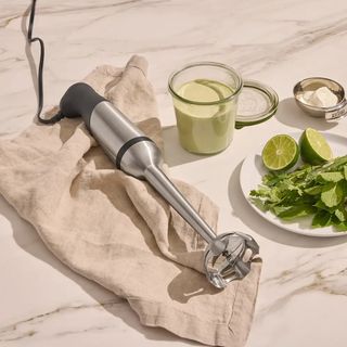 Immersion Blender