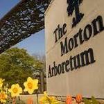 Morton Arboretum