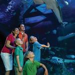 SEA LIFE Grapevine Aquarium