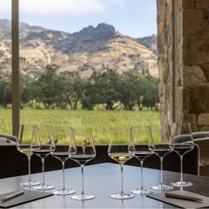 Wine Tasting at Stag's Leap Wine Cellars