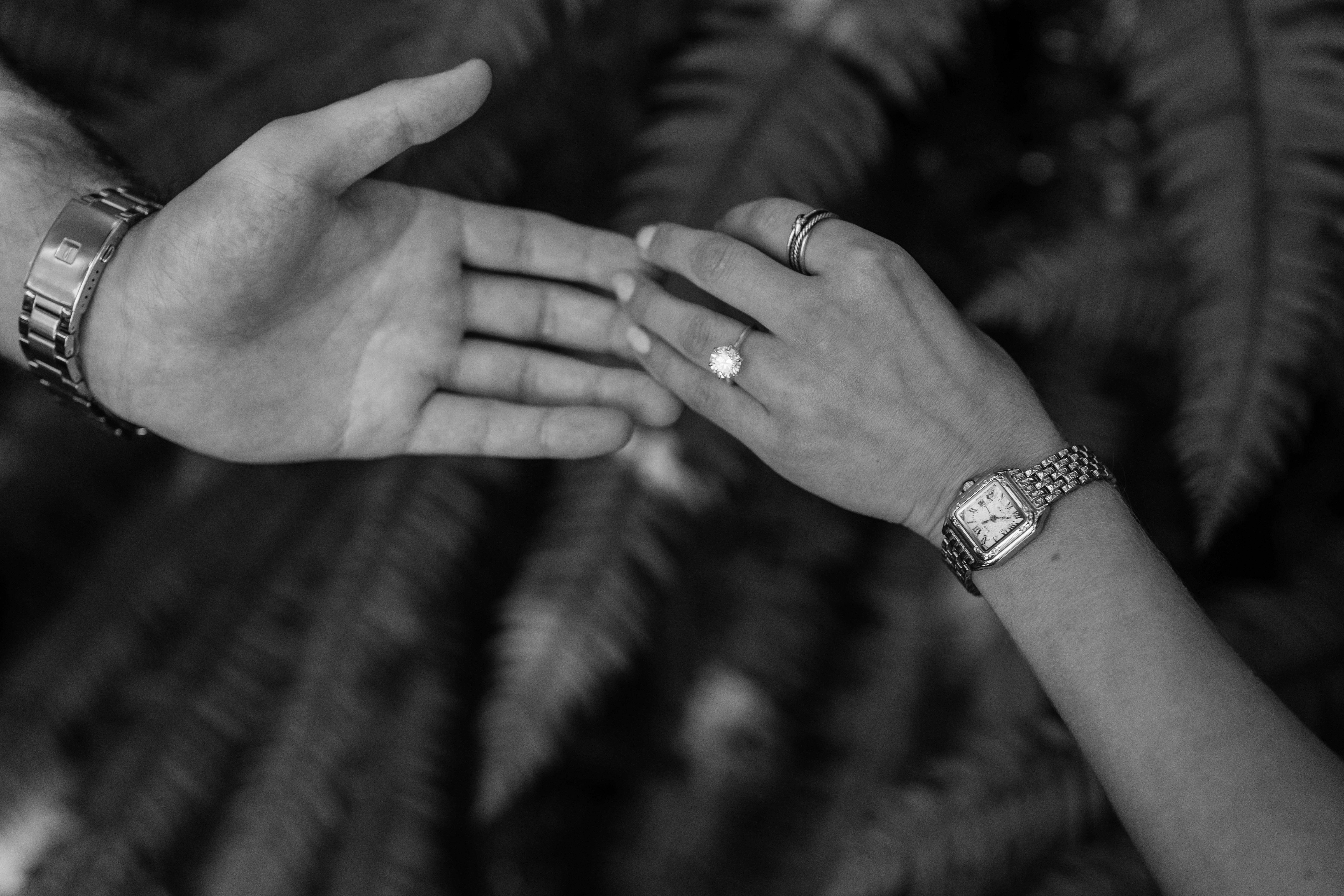 The Wedding Website of Rilee Monroe-Jones and Jack Najarian