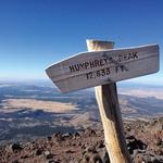 Humphrey's Peak Trail