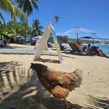 Playa Jobos