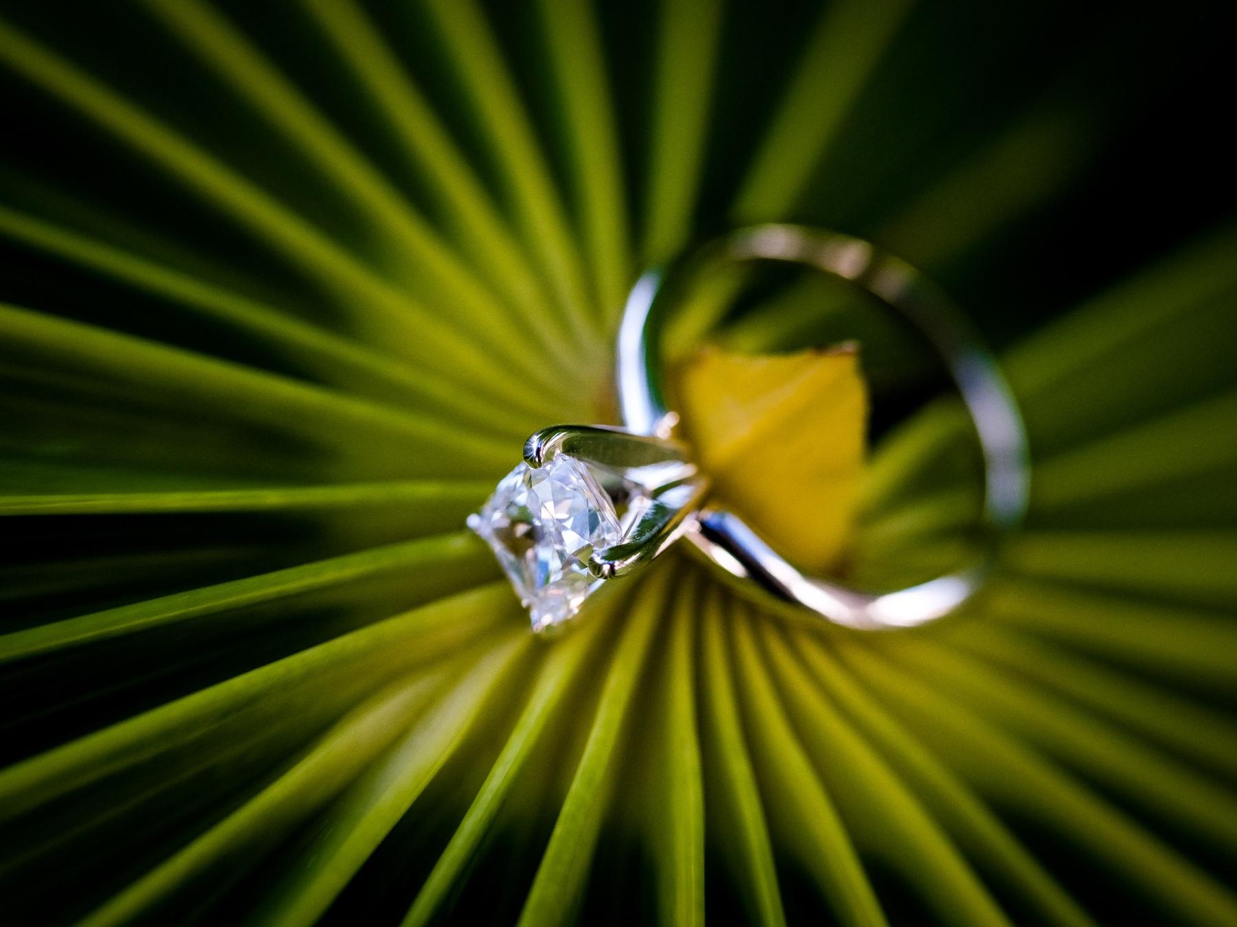 The Wedding Website of Mónica Delgadillo Miranda and Marcelo Silveyra Machuca