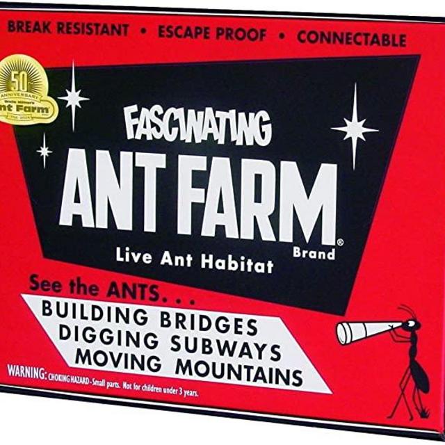 Ant Farm - Vintage