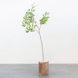Faux Olive Branch