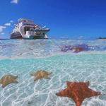 Creole Lobster Lunch and Snorkel Cruise to Starfish Island (Travel off the resort experience)