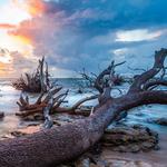 Big Talbot Island State Park