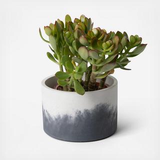 Large Concrete Vessel