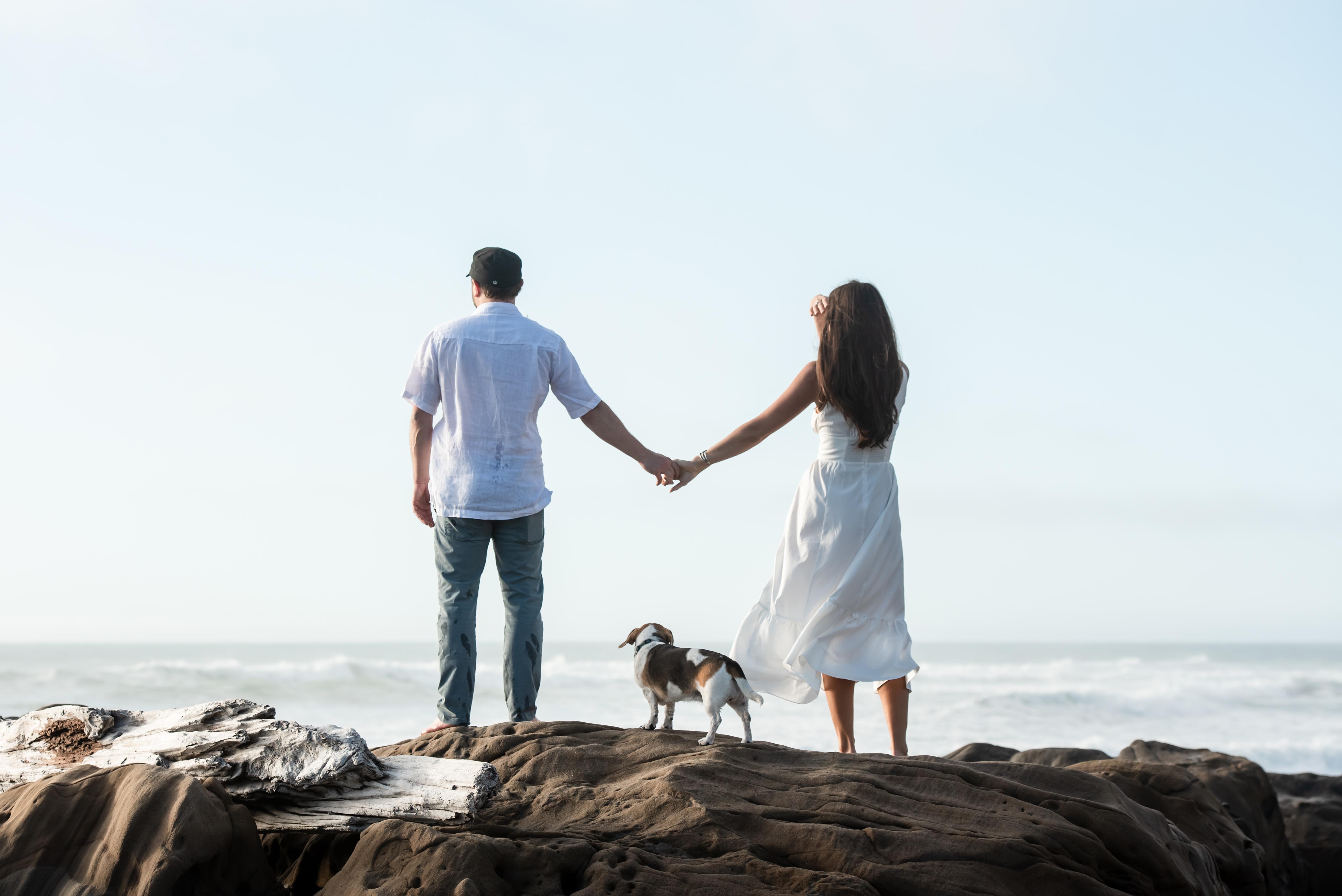 The Wedding Website of Alexandra Sargent and Timothy Gross