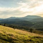 Bald Hill/Fitton Green Hikes