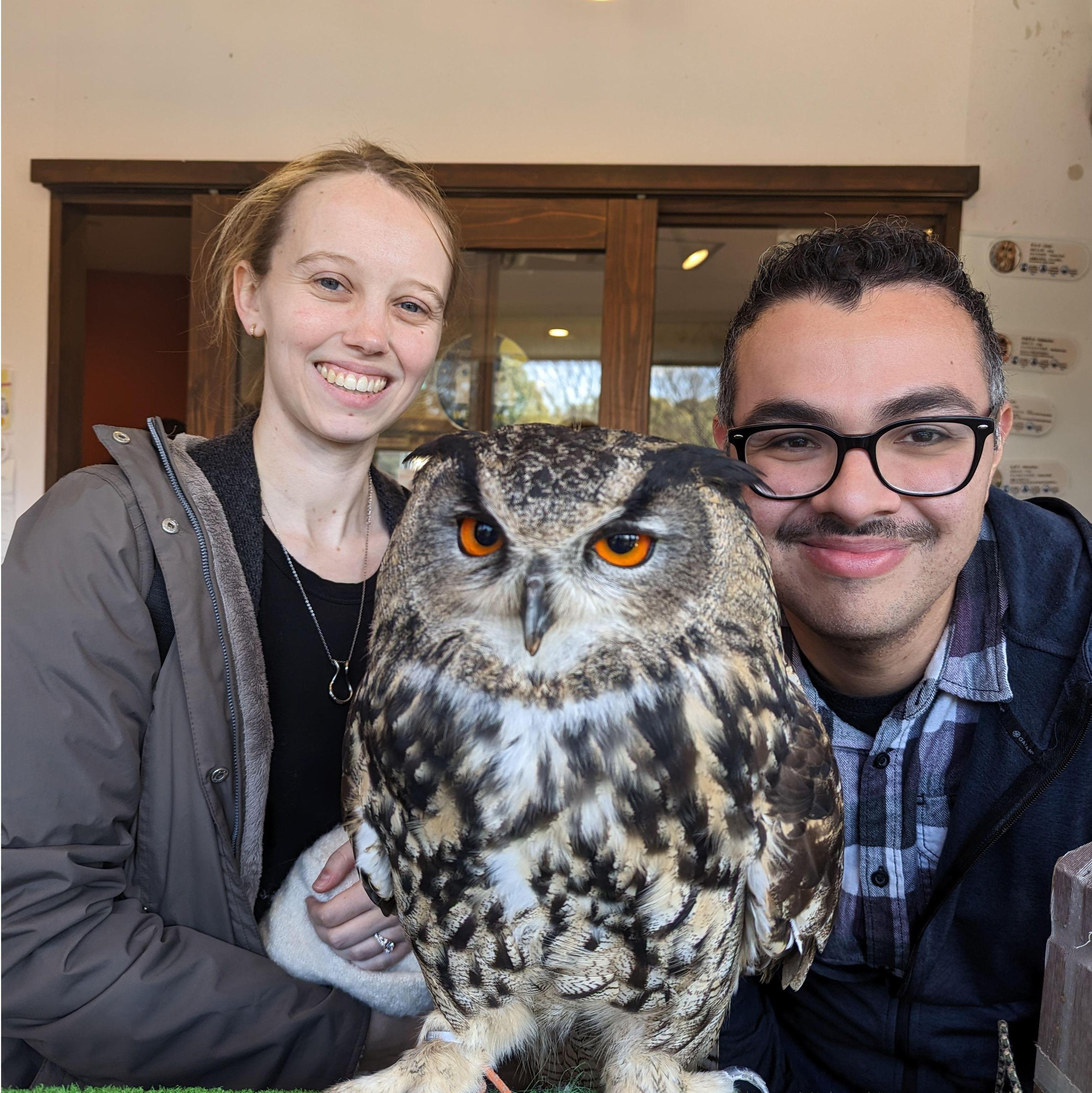 Owl Cafe