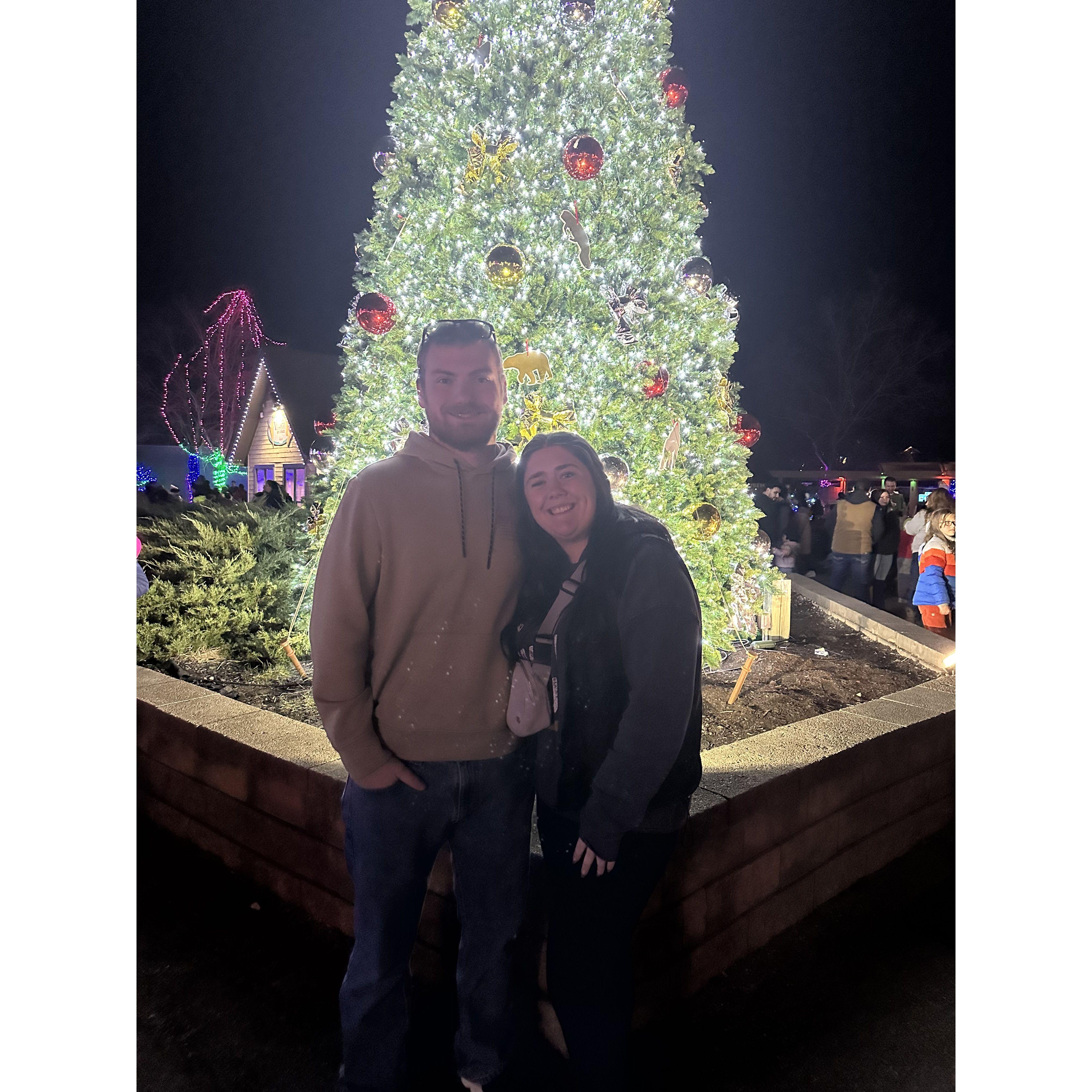 Columbus Zoo Lights