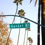 Sunset Boulevard