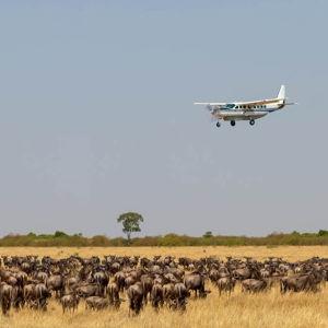 Internal Kenya Bush Flight