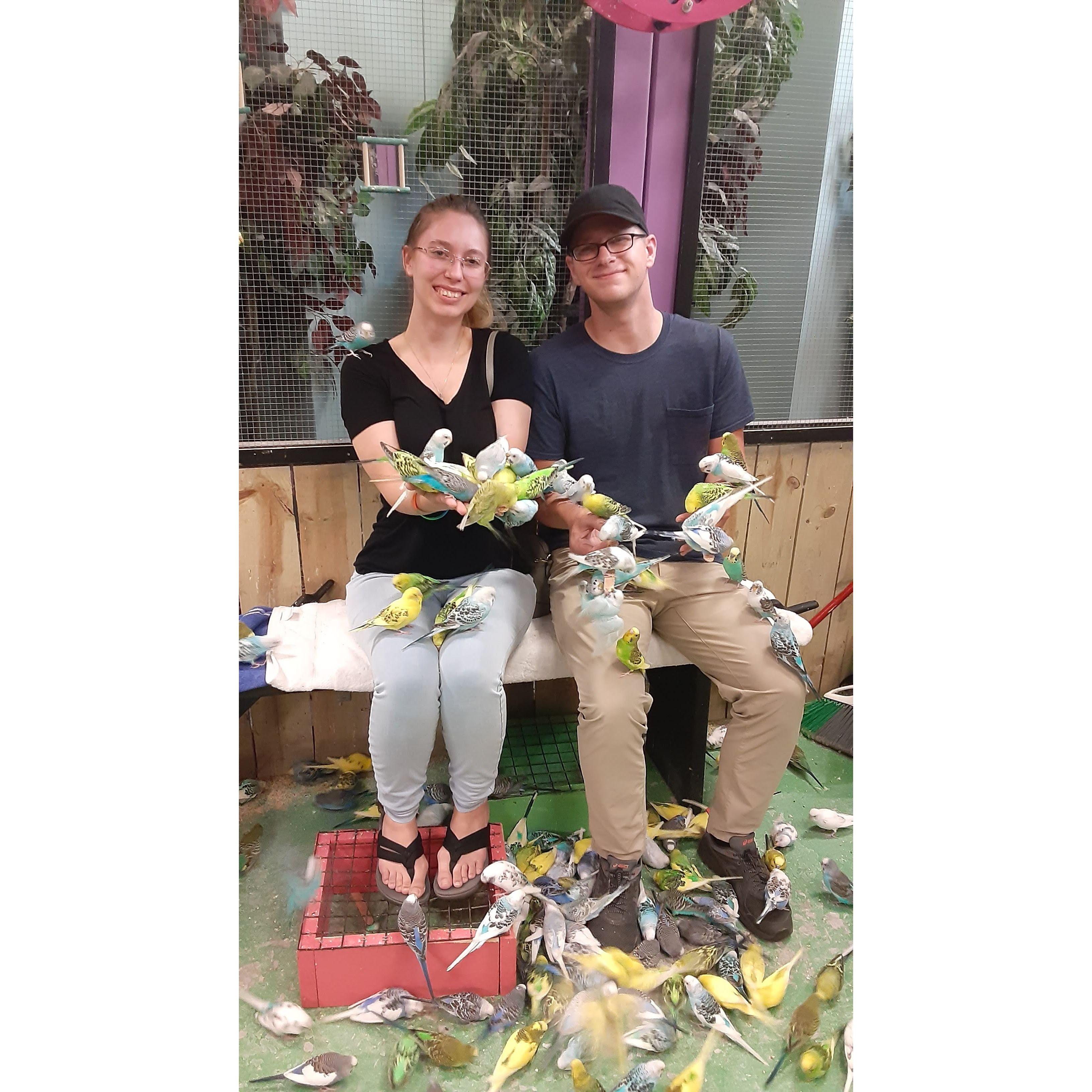 We went to Maplewood mall and visited their indoor zoo, the birds' feet felt really funny and cute.