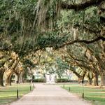 Boone Hall Plantation & Gardens