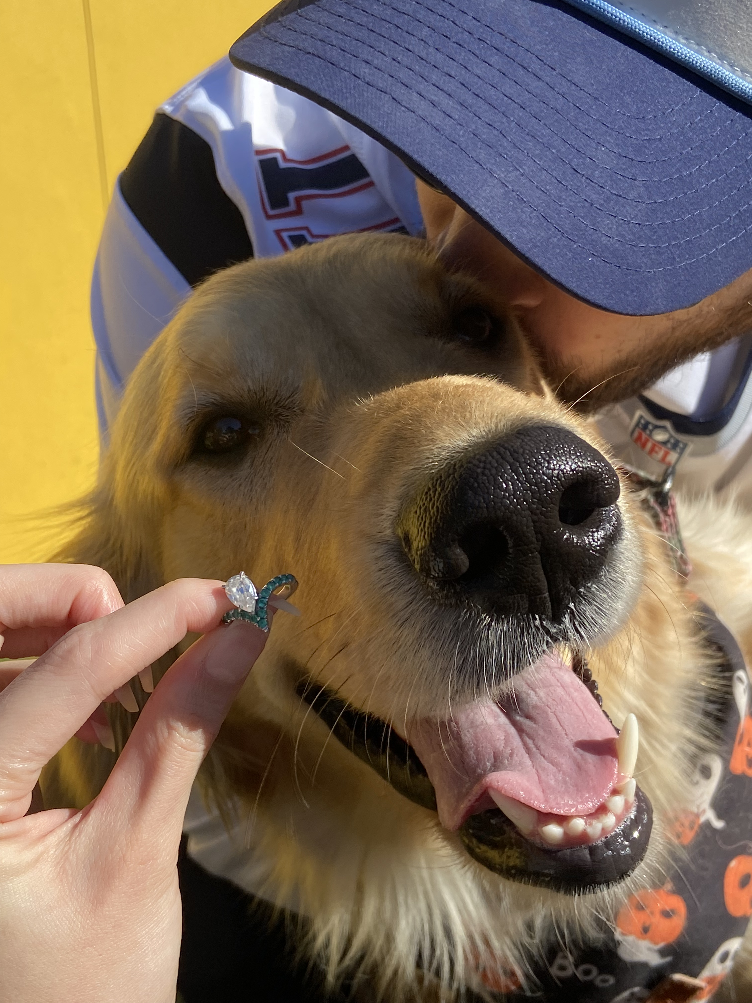 The Wedding Website of Mia White and Mike Horgan