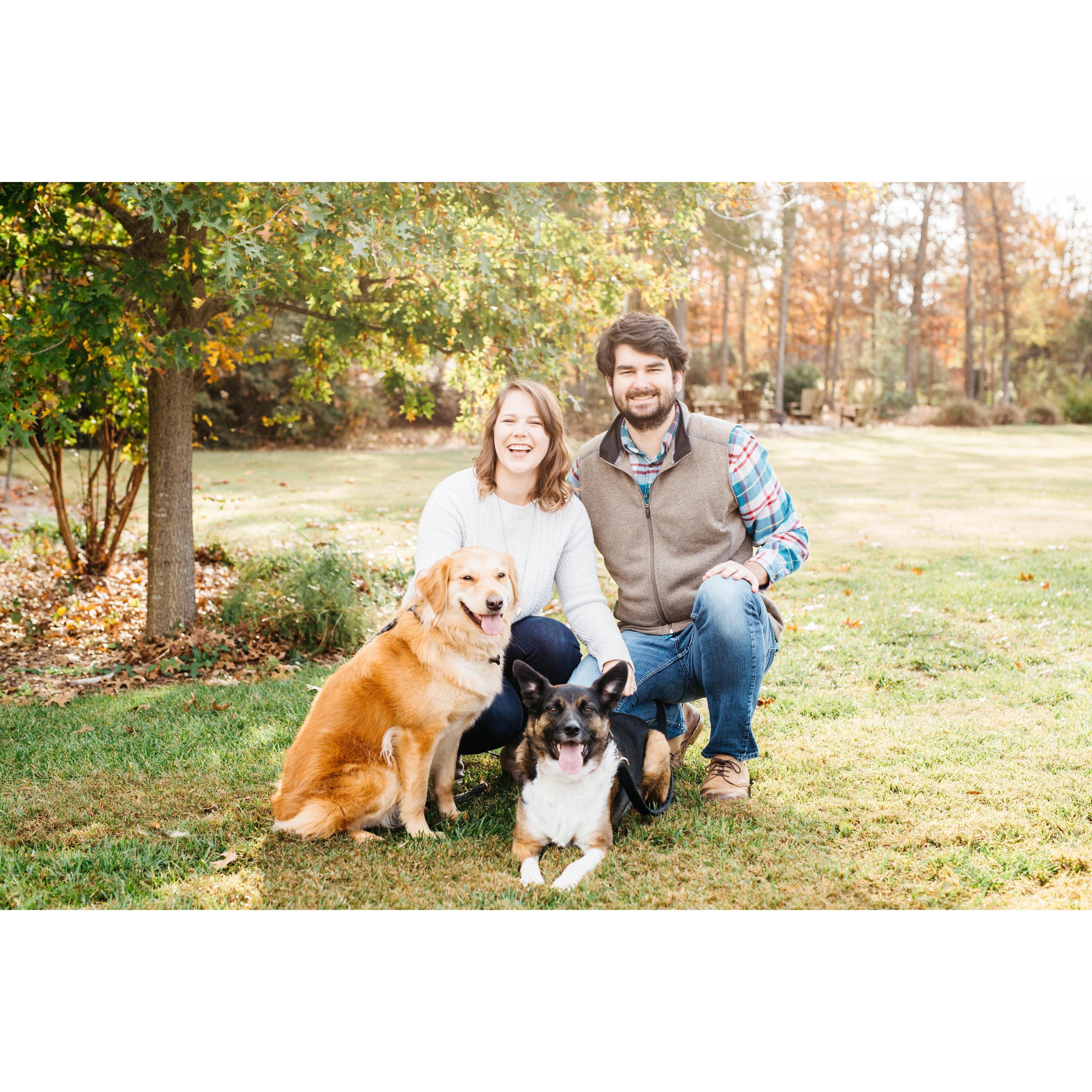 Ruby and Jasper tried to jump on the photographer the entire time (Rachel Elisabeth Photgraphy)