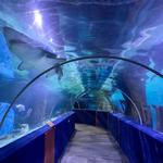 Greater Cleveland Aquarium