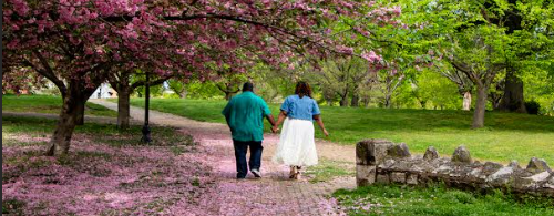 The Wedding Website of Reiná Johnson and Anthony Parham