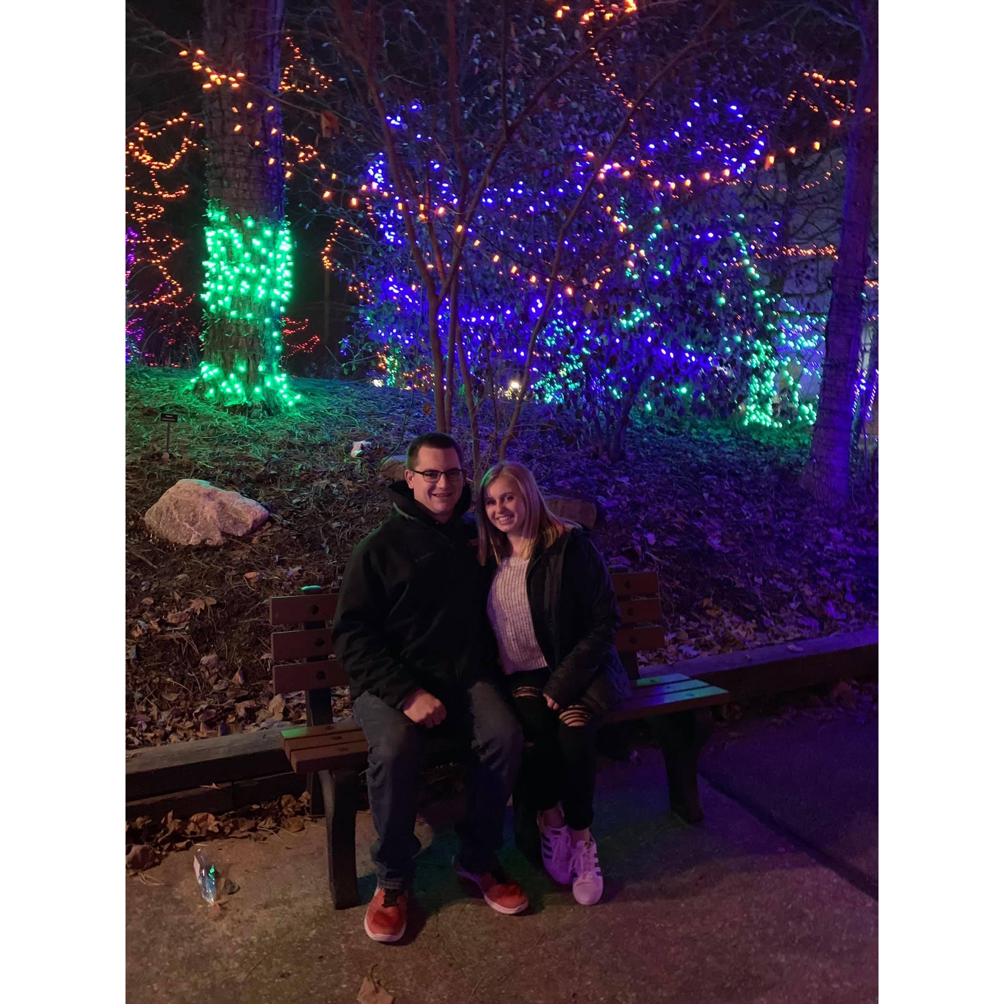 Christmas lights at the Indy Zoo.