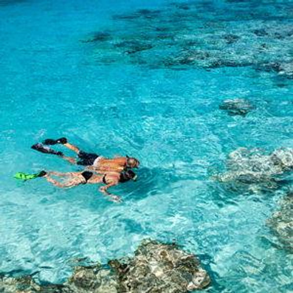 Snorkeling Tour in Dominican Republic