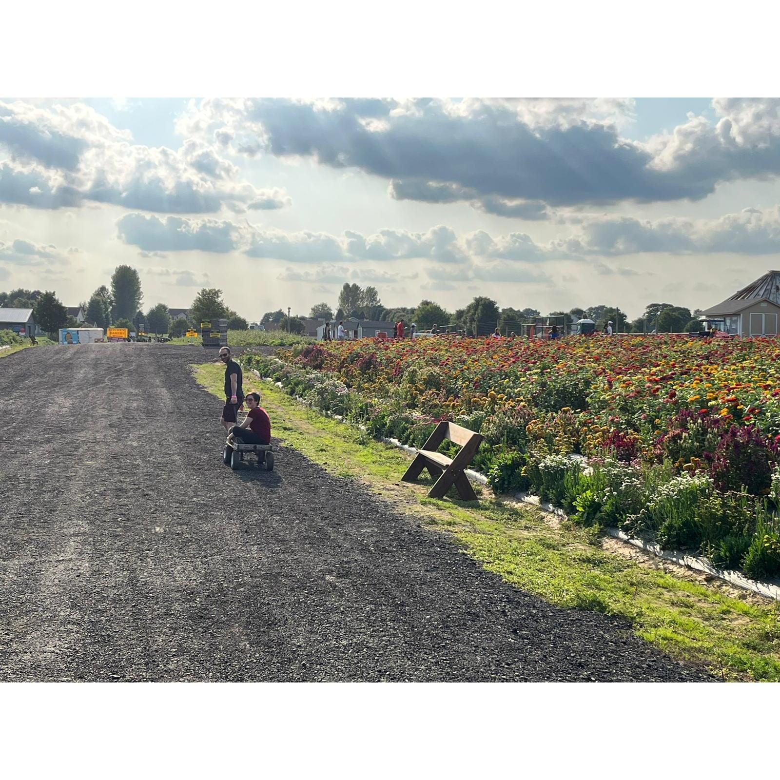 Anna enjoying her first-class ticket around a farm and apple orchard (PC: Kerry)