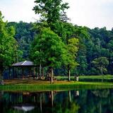 Lake Nicol