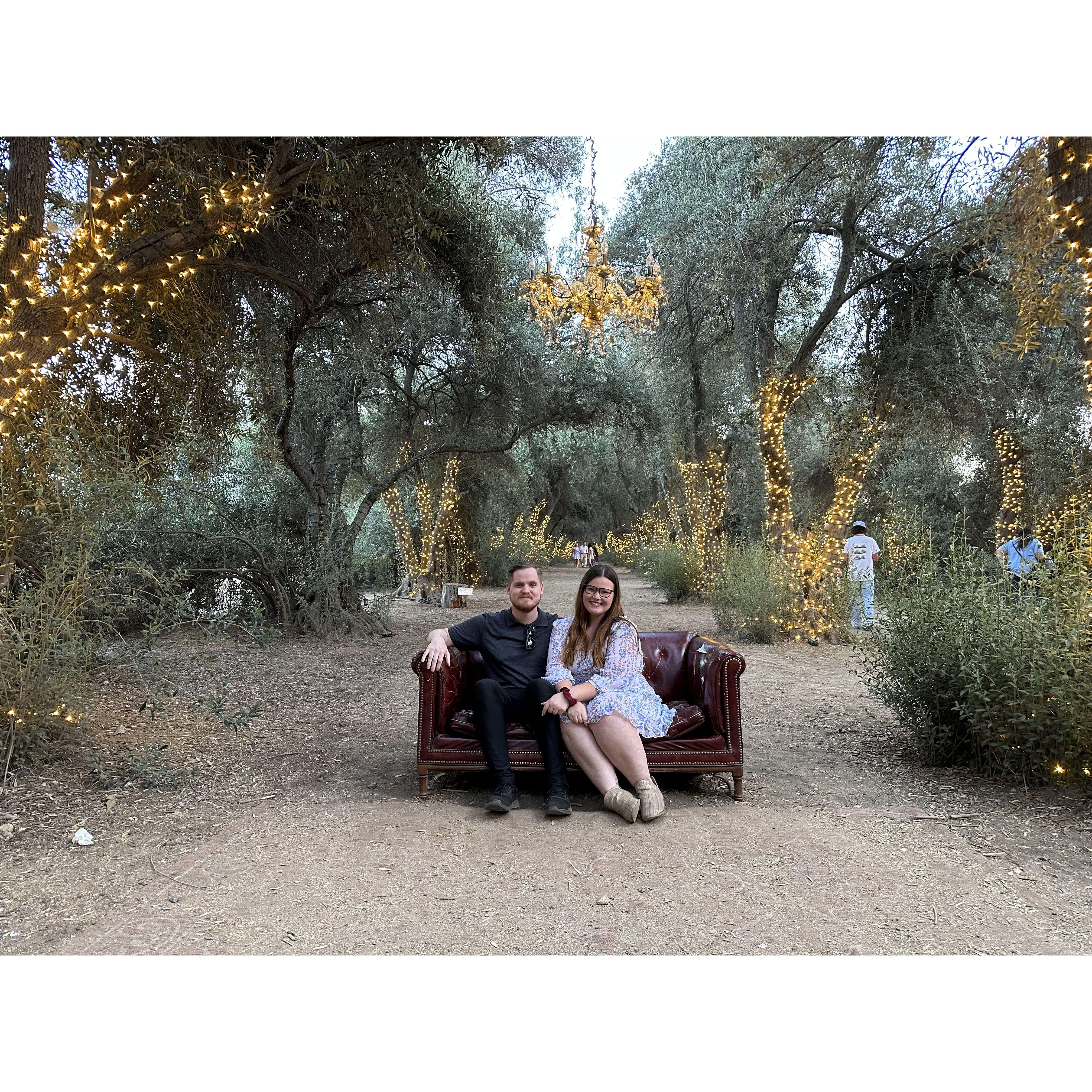 Lavender Festival Year 1