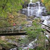 Amicalola Falls State Park