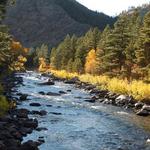 Marvel at the scenery of the Cache la Poudre River Canyon