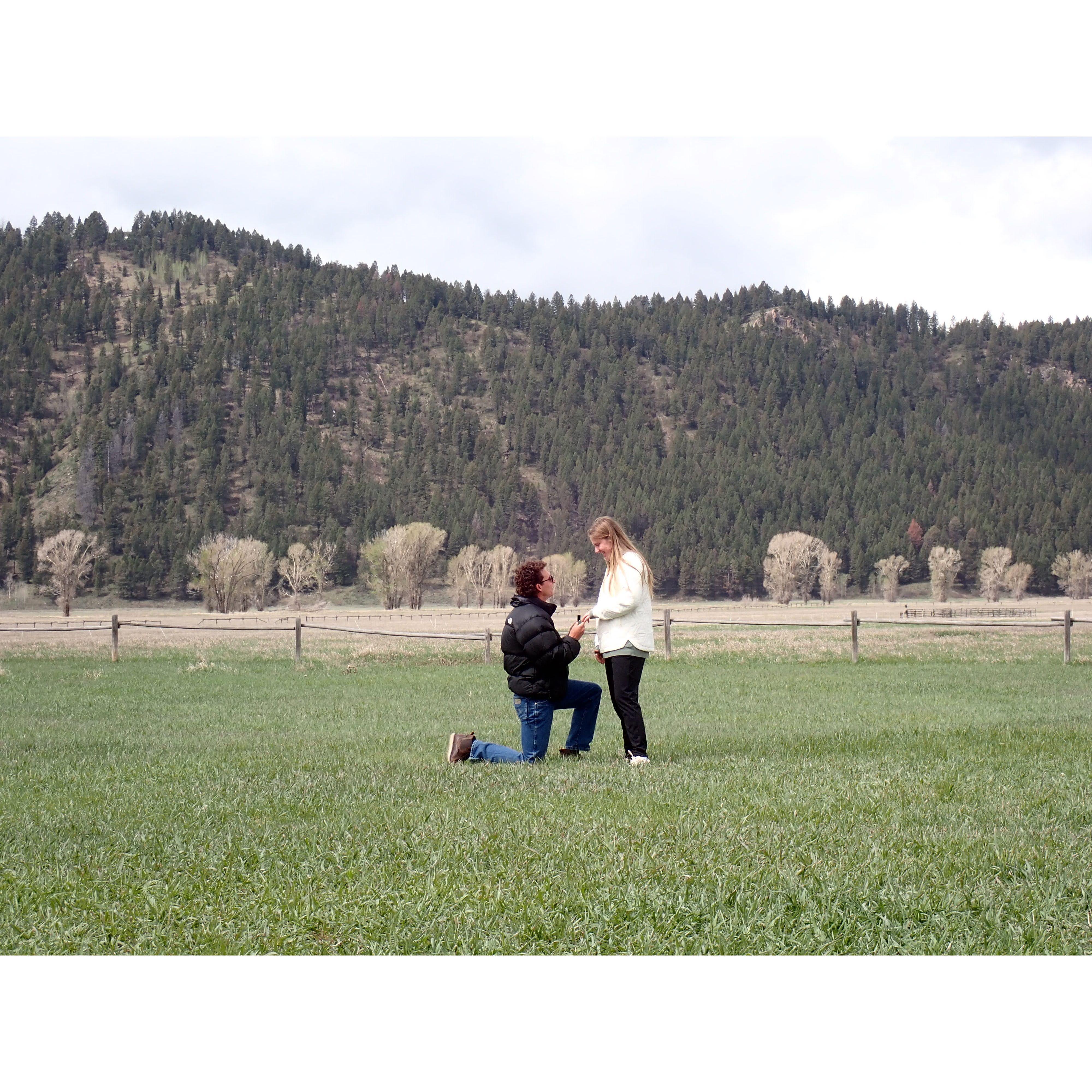 the moment (Chloe had no idea this picture was being taken)