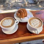 Lighthouse Roasters Fine Coffees