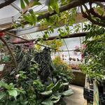 Logee's Plants for Home & Garden