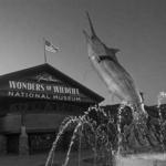 Wonders Of Wildlife National Museum & Aquarium